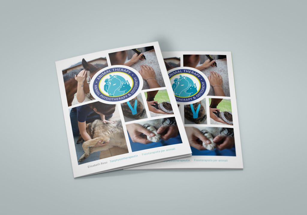 Veterinary Information Brochure