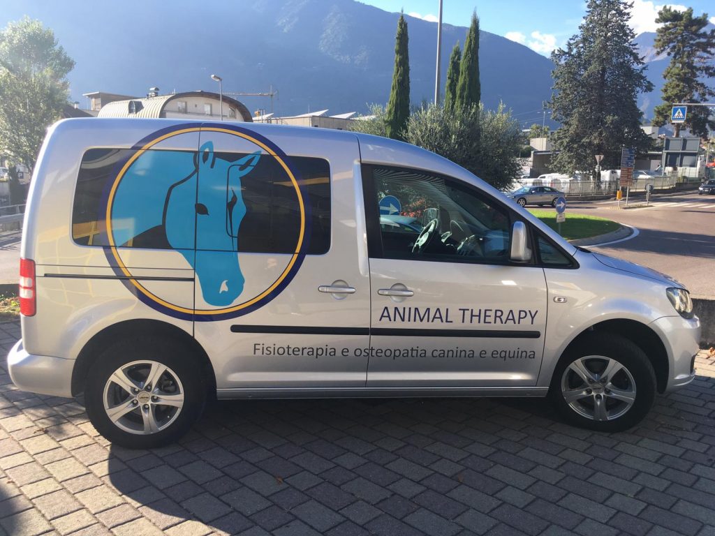 Veterinary Car Signage Side 1